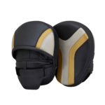 Boxing Mitts 1.3